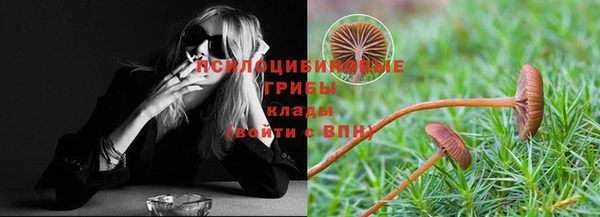ALPHA PVP Алзамай