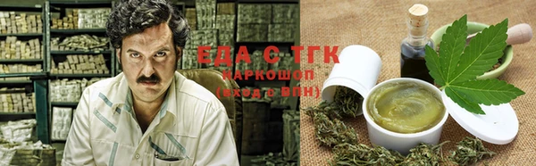 индика Нея