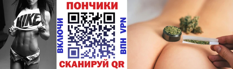 закладки  Нытва  Бошки Шишки план 